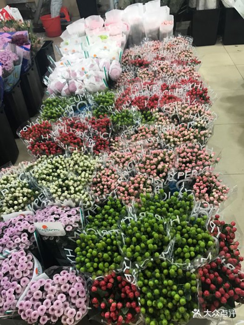江北区花卉批发:走进城市绿洲的背后